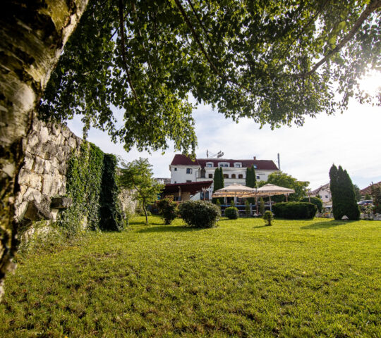 Hotel Clasic, Sebes, Alba