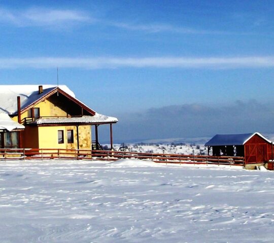 Pensiunea Daria, Văratec, Neamț