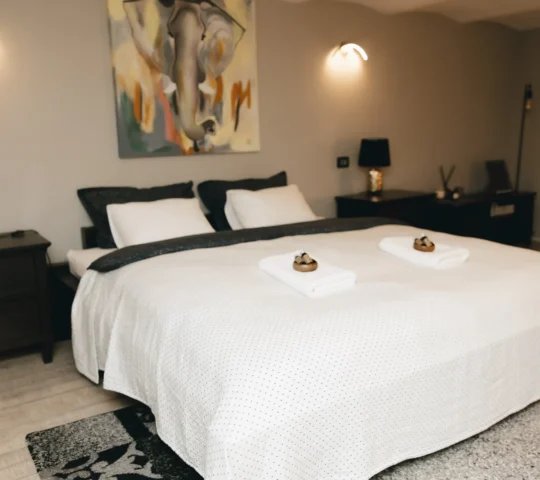 VOK Luxury Home I City Loft